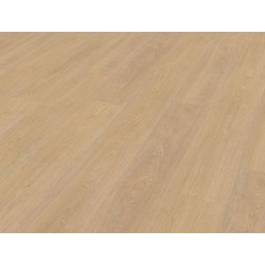 Belakos Terenno 610 Rigid Click