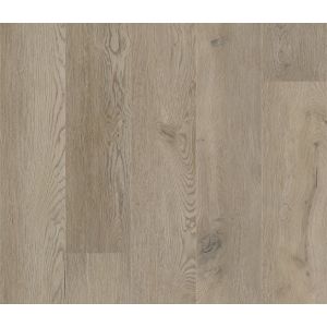 CORETEC XL-End 2553 Egmont