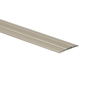 Dilatatieprofiel RVS