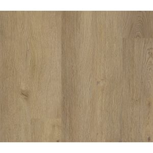 CORETEC XL-End 2557 Montclair