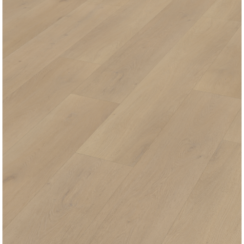 Belakos\u0020Palazzo\u0020770\u0020Rigid\u0020Click