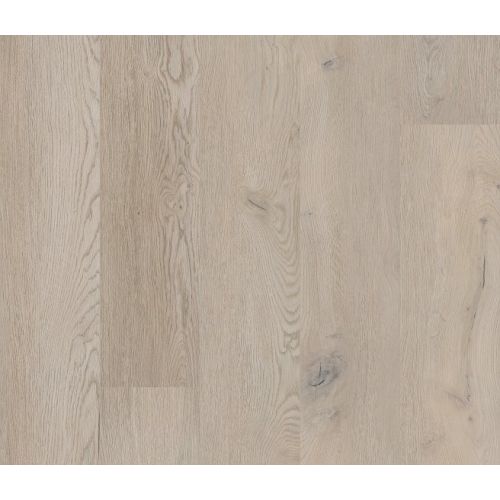 CORETEC\u0020XL\u002DEnd\u00202515\u0020Kantara