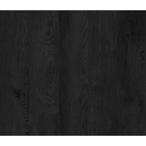 CORETEC\u0020XL\u002DEnd\u00202599\u0020Chantilly