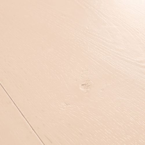 Quick\u002DStep\u0020Capture\u0020Rozegeverfde\u0020eik\u0020SIG4754