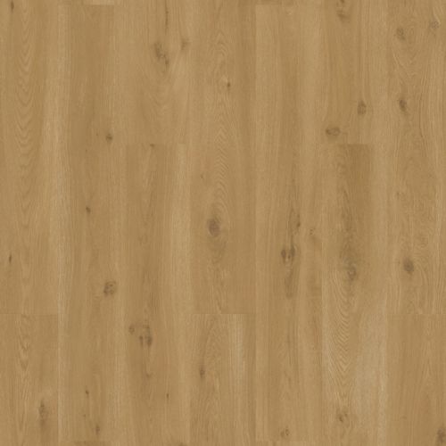 Quick\u002DStep\u0020LIV\u0020Ocean\u0020bliss\u0020warme\u0020honing\u0020SGSPC20314